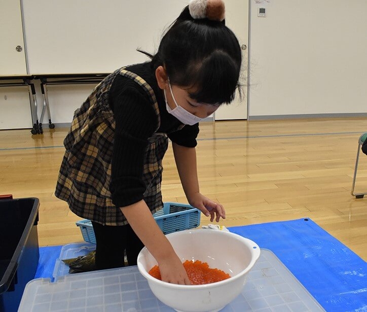 サケふるセミナー「サケの採卵体験」（9月）