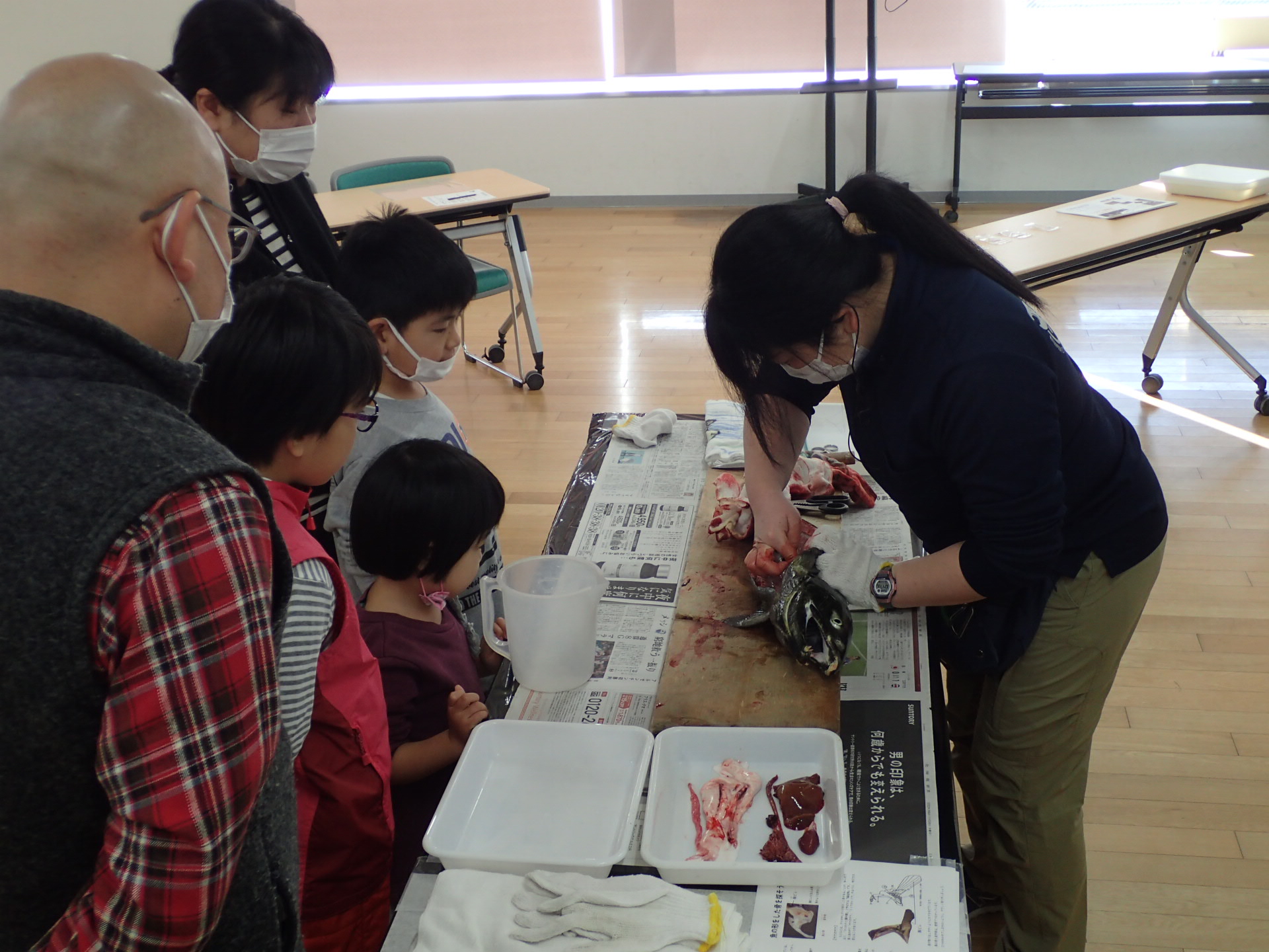 サケの解剖見学＆サケのサケ発掘体験2025